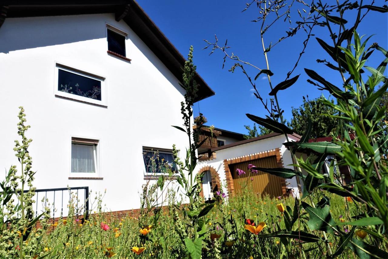 Ferienwohnung-M8 Im Schoenen Werratal Jestadt Екстериор снимка