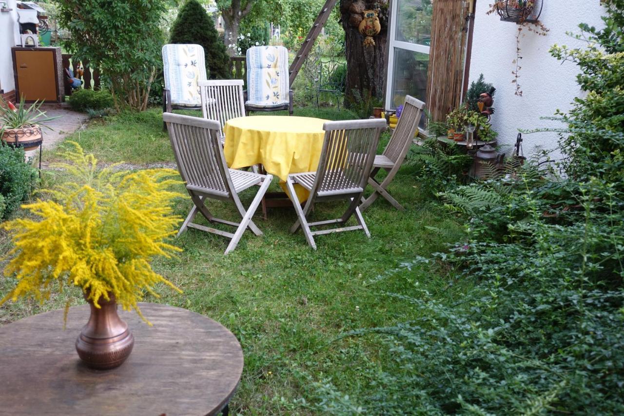 Ferienwohnung-M8 Im Schoenen Werratal Jestadt Екстериор снимка